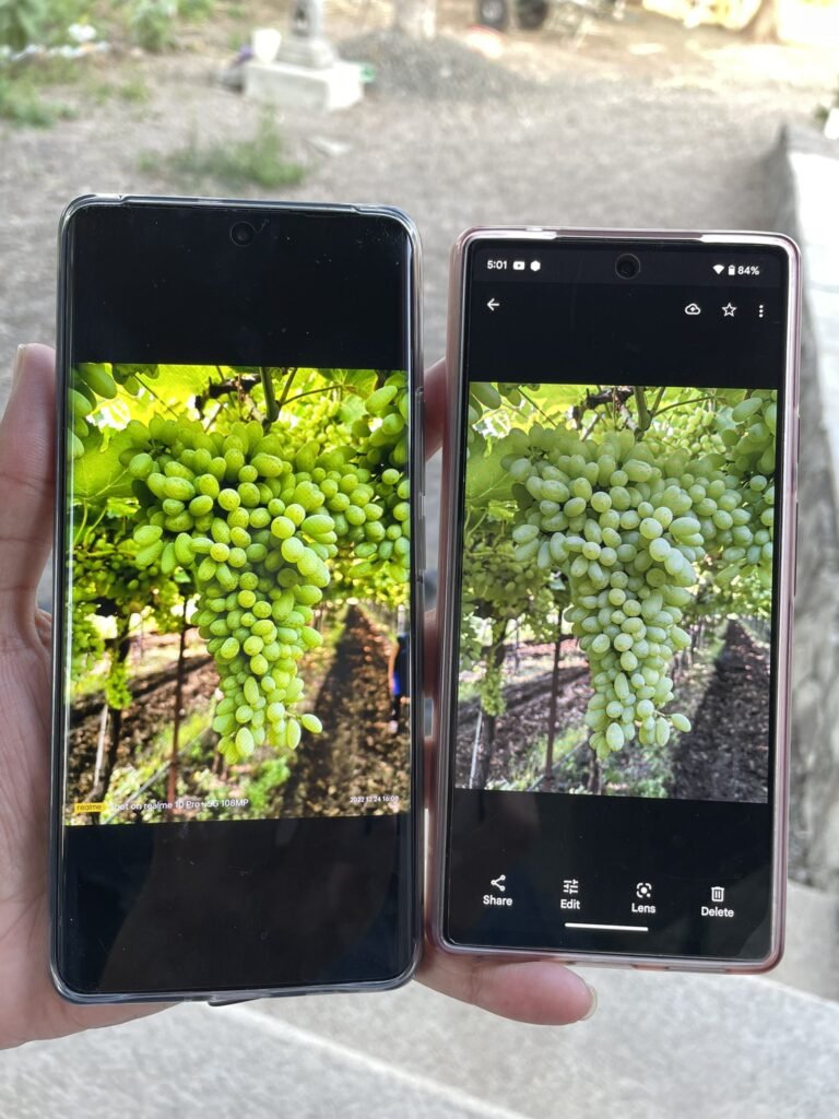 Realme 10 Pro Plus 5G vs Google Pixel 6a 5G: Camera Sample Comparision